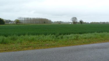 Terrain a batir a vendre Lamagistère 82360 Tarn-et-Garonne 32500 m2  198000 euros