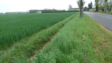 Terrain a batir a vendre Lamagistère 82360 Tarn-et-Garonne 32500 m2  198000 euros