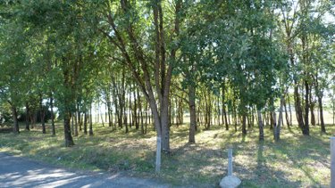 Terrain a batir a vendre Goudourville 82400 Tarn-et-Garonne 1406 m2  52000 euros