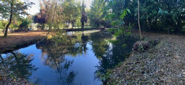 Maison a vendre Cinq-Mars-la-Pile 37130 Indre-et-Loire 145 m2 7 pièces 196840 euros