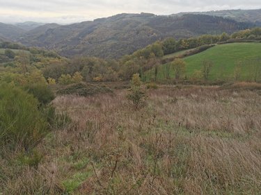 Bien agricole a vendre 12 Aveyron  70000 euros