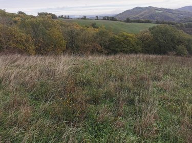 Bien agricole a vendre 12 Aveyron  70000 euros