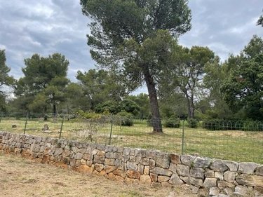 Maison a vendre Teyran 34820 Hérault 97 m2 4 pièces 472500 euros