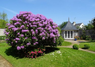 propriete a vendre Valognes 50700 Manche 384 m2 14 pièces 568300 euros