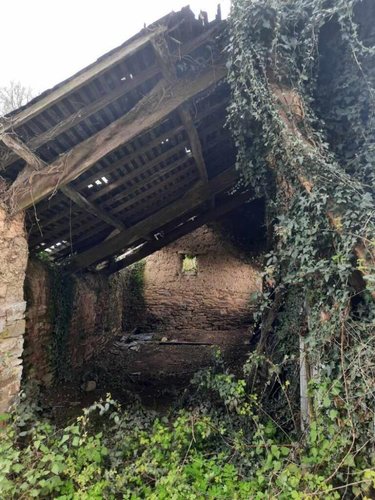 Terrain a batir a vendre La Chapelle Bouëxic 35330 Ille-et-Vilaine  37800 euros