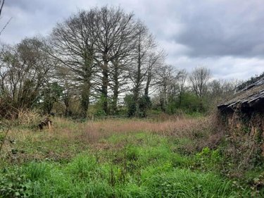 Terrain a batir a vendre La Chapelle Bouëxic 35330 Ille-et-Vilaine  37800 euros