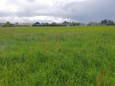 Terrain a batir a vendre Valence 82400 Tarn-et-Garonne 15446 m2  307400 euros