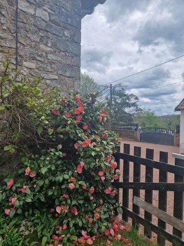 Maison a vendre Vendenesse-lès-Charolles 71120 Saône-et-Loire 128 m2 6 pièces 235000 euros