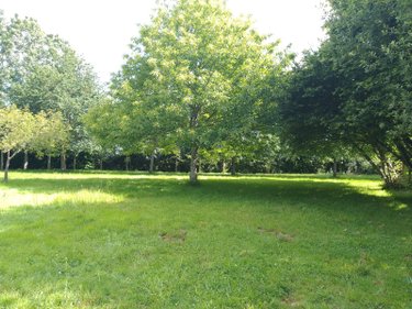 Maison a vendre Domloup 35410 Ille-et-Vilaine 175 m2 7 pièces 349000 euros