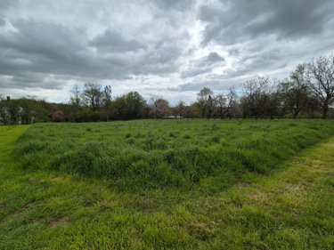 Terrain a batir a vendre Treigny-Perreuse-Sainte-Colombe 89520 Yonne 1600 m2  13600 euros