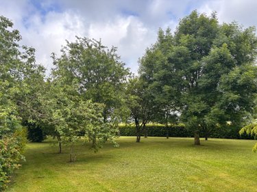 propriete a vendre Saint-Ouen-en-Champagne 72350 Sarthe 310 m2 12 pièces 426700 euros