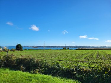 Maison a vendre Saint-Pol-de-Léon 29250 Finistère 260 m2 8 pièces 592800 euros