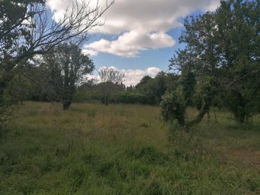 Terrain a batir a vendre Cricqueboeuf 14113 Calvados 1727 m2  227920 euros