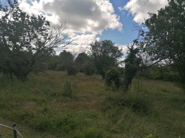 Terrain a batir a vendre Cricqueboeuf 14113 Calvados 1727 m2  295000 euros