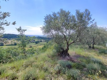 propriete a vendre Sigonce 04300 Alpes-de-Haute-Provence 50 m2 3 pièces 249000 euros