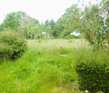 Maison a vendre Mesnil-Roc'h 35720 Ille-et-Vilaine 83 m2 4 pièces 247060 euros