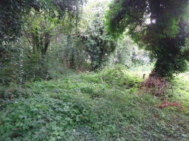 Divers a vendre Marolles-les-Buis 28400 Eure-et-Loir  6200 euros