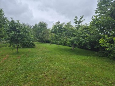 Maison a vendre Toucy 89130 Yonne 170 m2 9 pièces 445000 euros