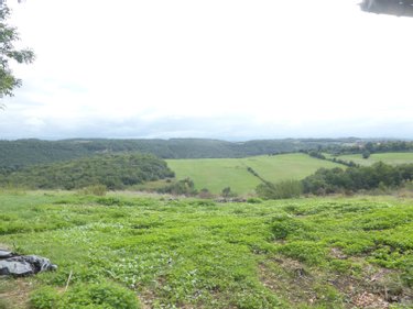 Terrain a batir a vendre Gensac-de-Boulogne 31350 Haute-Garonne 60006 m2  73300 euros