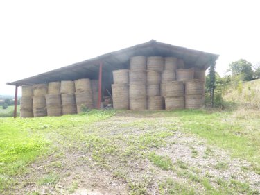 Terrain a batir a vendre Gensac-de-Boulogne 31350 Haute-Garonne 60006 m2  73300 euros