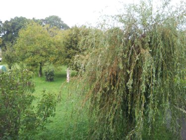 Maison a vendre Miniac-Morvan 35540 Ille-et-Vilaine 99 m2 5 pièces 249900 euros