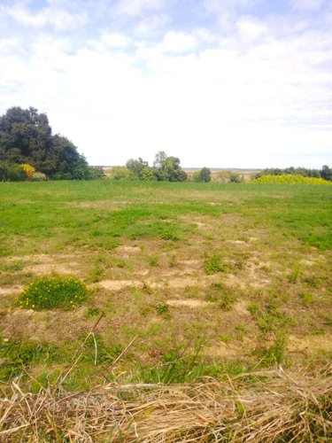 Terrain a batir a vendre Saint-Just-Luzac 17320 Charente-Maritime 1437 m2  199300 euros