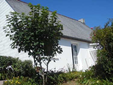 Maison a vendre Kerlouan 29890 Finistère 116 m2  269800 euros