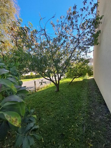 Maison a vendre Tessy-Bocage 50420 Manche 70 m2 3 pièces 115280 euros