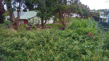 Terrain a batir a vendre Bras-Panon 97412 Réunion 381 m2  92000 euros