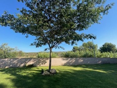 Divers a vendre Montbazin 34560 Hérault 100 m2  540000 euros