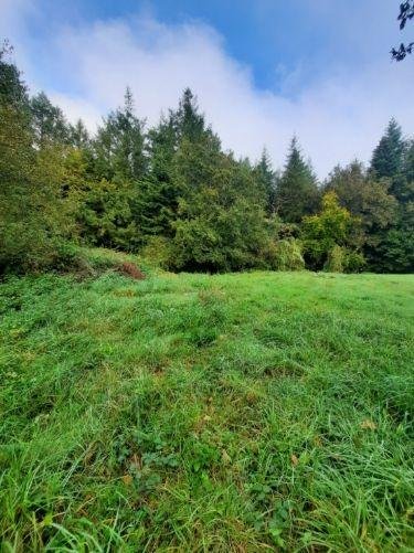 Terrain a batir a vendre La Chapelle Bouëxic 35330 Ille-et-Vilaine 798 m2  60446 euros