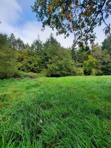 Terrain a batir a vendre La Chapelle Bouëxic 35330 Ille-et-Vilaine 798 m2  60446 euros