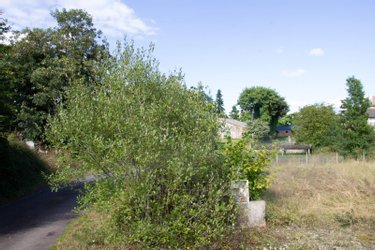 Terrain a batir a vendre Saint-Brieuc-de-Mauron 56430 Morbihan 1082 m2  30000 euros