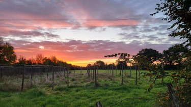 Maison a vendre Précigné 72300 Sarthe 230 m2 5 pièces 362000 euros