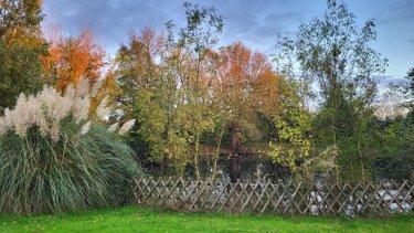 Maison a vendre Précigné 72300 Sarthe 230 m2 5 pièces 377000 euros