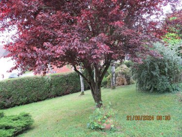 Maison a vendre Épernay 51200 Marne 176 m2 8 pièces 510000 euros