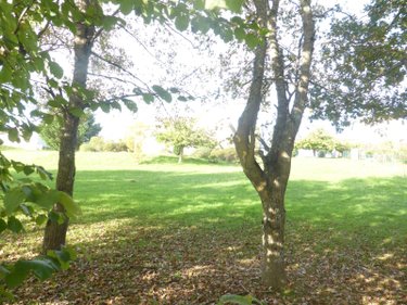 Maison a vendre Saint-Médard 31360 Haute-Garonne 145 m2 5 pièces 339500 euros