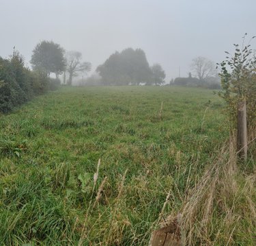 Terrain a batir a vendre Folligny 50320 Manche 1456 m2  55750 euros