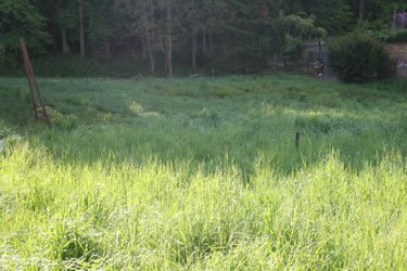 Terrain a batir a vendre Saint-Gobain 02410 Aisne 1448 m2  33000 euros