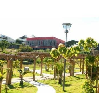 Terrain a batir a vendre Saint-Paul 97460 Réunion 406 m2  410000 euros
