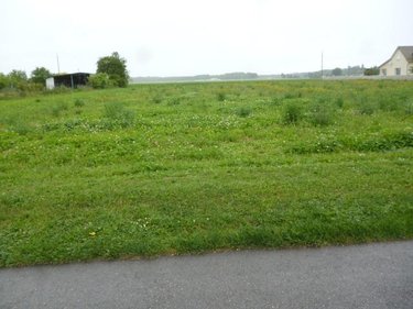 Terrain a batir a vendre Gigny-sur-Saône 71240 Saône-et-Loire 2011 m2  59000 euros