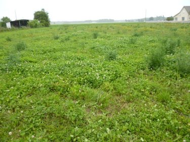 Terrain a batir a vendre Gigny-sur-Saône 71240 Saône-et-Loire 2011 m2  59000 euros