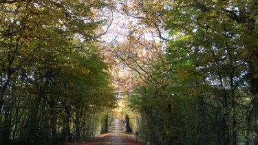 propriete a vendre Villeloin-Coulangé 37460 Indre-et-Loire 182 m2 16 pièces 988000 euros