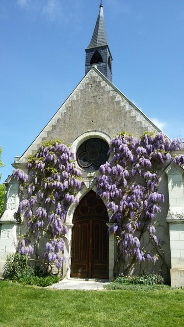 propriete a vendre Villeloin-Coulangé 37460 Indre-et-Loire 182 m2 16 pièces 988000 euros