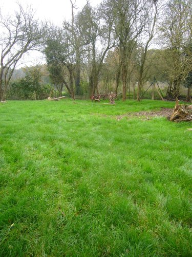 Maison a vendre Saint-Hélen 22100 Côtes-d'Armor 67 m2 3 pièces 197600 euros