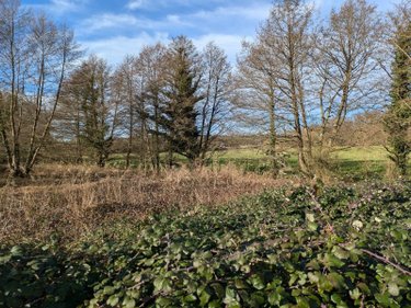 Terrains de loisirs bois etangs a vendre Changé 72560 Sarthe 10586 m2  41200 euros