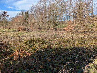 Terrains de loisirs bois etangs a vendre Changé 72560 Sarthe 10586 m2  41200 euros