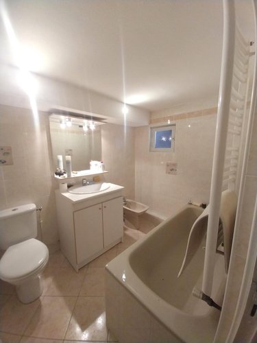 Viager maison Changé 53810 Mayenne 146 m2 5 pièces 84700 euros
