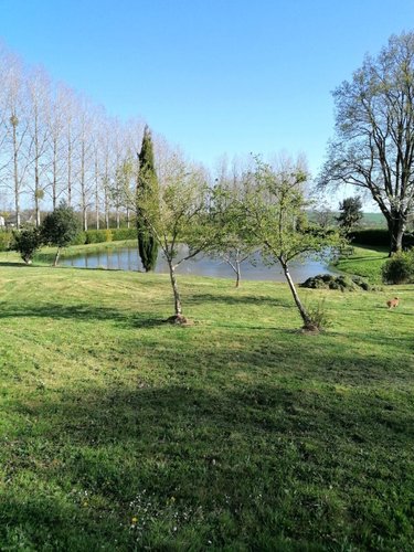 Terrains de loisirs bois etangs a vendre La Baconnière 53240 Mayenne 20002 m2  77108 euros