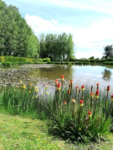 Terrains de loisirs bois etangs a vendre La Baconnière 53240 Mayenne 20002 m2  77108 euros